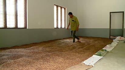 Sandalwood : ചന്ദനത്തിന് മാത്രമല്ല ചന്ദന വിത്തിനും വന് ഡിമാന്ഡ്; 1 കോടിയുടെ വില്പന ലക്ഷ്യമിട്ട് വനംവകുപ്പ്