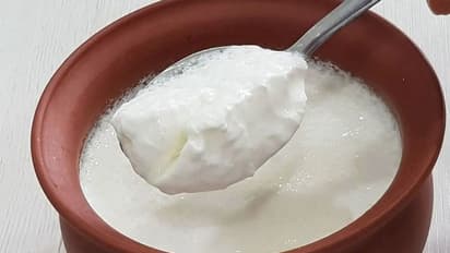 పెరుగును బ్రేక్ ఫాస్ట్ లో తింటే ఎంత మంచిదో..!