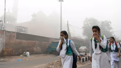 Take suggestions from experts and public to curb air pollution: SC to panel