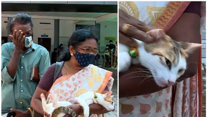 Cat Shot : വൈക്കത്ത് വളർത്തുപൂച്ചയെ വെടിവച്ച് കൊല്ലാൻ ശ്രമം, പൂച്ചയുടെ നില ഗുരുതരം