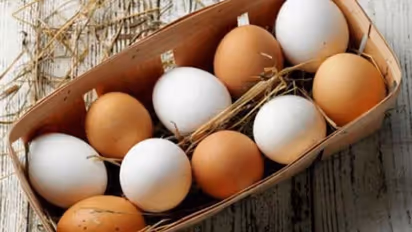 Egg Distribution in School : ಶಾಲೆಯಲ್ಲಿ ಮೊಟ್ಟೆ ಕೊಟ್ಟಿದ್ದಕ್ಕೆ ಮಗನ ಟಿಸಿ ಪಡೆದ ತಂದೆ