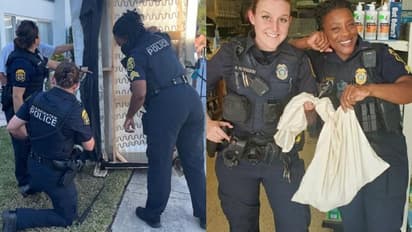 Viral Post : പുത്തന് സോഫയിൽ പതുങ്ങിയിരുന്ന അതിഥിയെ കണ്ട് ഭയന്ന് ഉടമ!