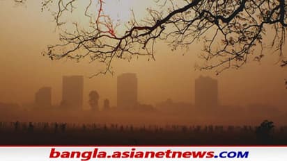 Weather Update: পথে বাধা পশ্চিমী ঝঞ্ঝা, আগামী কয়েকদিনে আদৌও কী জাঁকিয়ে পড়বে শীত