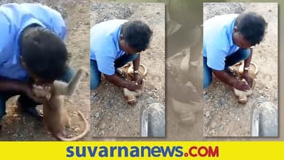Viral Video: ಉಸಿರು ನೀಡಿ ಗಂಭೀರ ಸ್ಥಿತಿಯಲ್ಲಿದ್ದ ಕೋತಿಯ ಜೀವ ಉಳಿಸಿದ ಆಟೋ ಚಾಲಕ