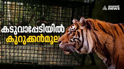 Wayanad Tiger attack : കടുവയെ പേടിച്ച് ജനം; നിരോധനാജ്ഞ തുടരുന്നു, നിരീക്ഷണ ക്യാമറകൾ മാറ്റും
