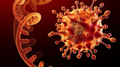 Omicron variant : ಬೆಂಗಳೂರಿನ ಒಮಿಕ್ರೋನ್ ಸೋಂಕಿತ ಗುಣಮುಖ