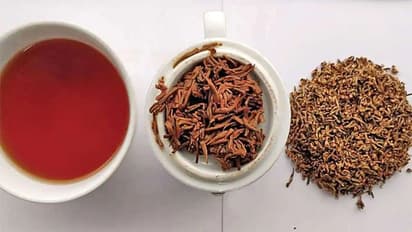 1 கிலோ ரூ.9 கோடி! உலகின் மிகவும் விலை உயர்ந்த டீ இதுதான்.. ஏன் இவ்வளவு காஸ்ட்லி?