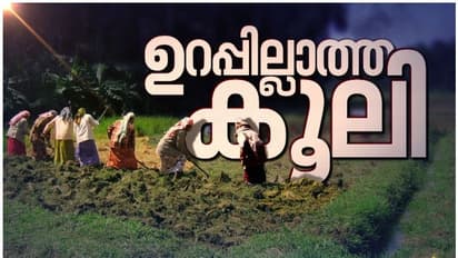 ചെയ്ത പണിയുടെ വേതനം എവിടെ? സമരവുമായി തൊഴിലുറപ്പ് തൊഴിലാളികള്