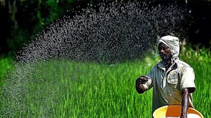 ಗದಗ, ಕೊಪ್ಪಳದಲ್ಲಿ ಯೂರಿಯಾಕ್ಕೆ ಅಂಗಡಿಗಳ ಮುಂದೆ ರೈತರ ಕ್ಯೂ!