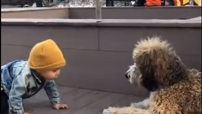 Viral video: ನಾಯಿಯನ್ನು ಮೊದಲ ಬಾರಿ ನೋಡಿದ ಮಗುವಿನ ಕ್ಯೂಟ್‌ ರಿಯಾಕ್ಷನ್‌ ನೋಡಿ