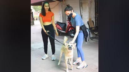 Malaika Arora to Ranveer Singh, Deepika Padukone, this is where the stars were seen today