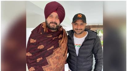 Harbhajan singh picture with sidhu : ഹര്ഭജന് സിങ് കോണ്ഗ്രസിലേക്കോ; ചര്ച്ചയായി സിദ്ദുവുമൊത്തുള്ള ചിത്രം
