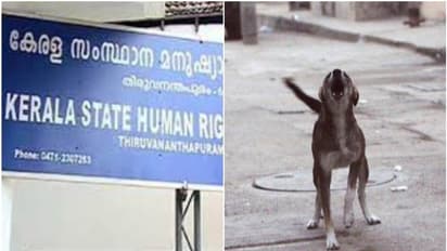 Stray dog attack : കോഴിക്കോട് ജില്ലാ കോടതി വളപ്പിലെ തെരുവുനായ ശല്യം, നടപടി ആവശ്യപ്പെട്ട് മനുഷ്യാവകാശകമ്മീഷൻ