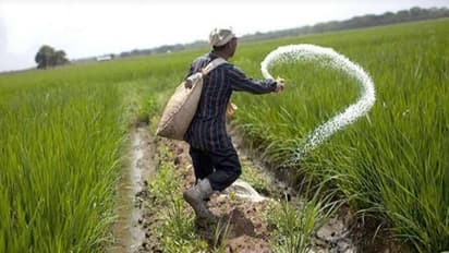 PM Kisan Yojna: खाते में नहीं आया है पीएम किसान योजना का रुपया तो इन नंबरों पर करें शिकायत, तुरंत आएगा पैसा