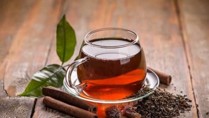 Tea Sold For Record Price : ഒരു കിലോ ചായപ്പൊടിക്ക് ഒരു ലക്ഷം രൂപ !