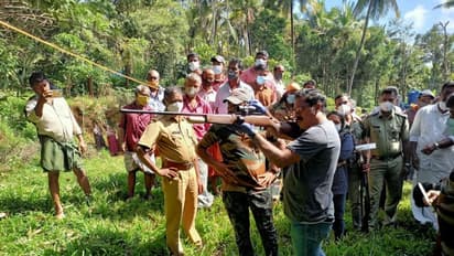 Wayanad Tiger Attack: കടുവ സ്വൈരവിഹാരത്തില്‍; നാട്ടുകാര്‍ക്ക് നേരെ ആയുധമെടുത്ത് വനം വകുപ്പ് ഉദ്യോഗസ്ഥന്‍