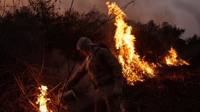 Pantanal wildfires : ഈ ദുരന്തം മനുഷ്യരാശിക്കുള്ള സന്ദേശം, കാട്ടുതീയിലില്ലാതെയാവുന്നത് ലക്ഷക്കണക്കിന് ജീവികള്‍