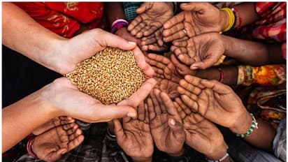 প্রতিদিনই পাতে নষ্ট হয় খাবার? স্টপ ফুড ওয়েস্ট ডে-তে জানুন আপনার ফেলা খাবারে বাঁচতে পারে কত শিশু