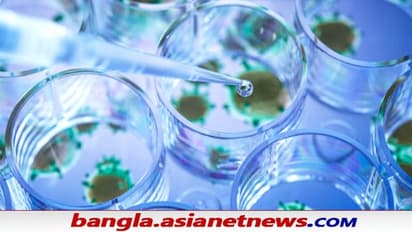 COVID-19 টিকার পুরো ডোজ নেওয়ার পর করোনা আক্রান্ত, গবেষণা বলছে এতেই হবে সবথেকে লাভ