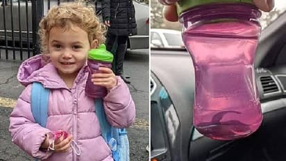 ആരുംകാണാതെ വളർത്തുമത്സ്യത്തെ വാട്ടർബോട്ടിലിലിട്ട് സ്കൂളിൽ കൊണ്ടുപോയി മൂന്നുവയസുകാരി, കയ്യോടെ പിടിച്ച് അധ്യാപിക