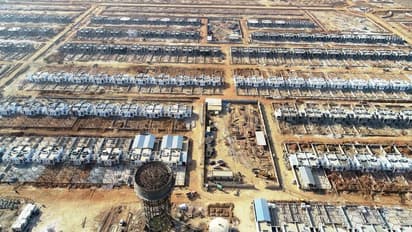 कोटा में पशुपालकों की पहली कॉलोनी, 15 हजार गाय-भैंसों के रहने की व्यवस्था, सुविधाएं ऐसी जैसे कोई हाईटेक सिटी