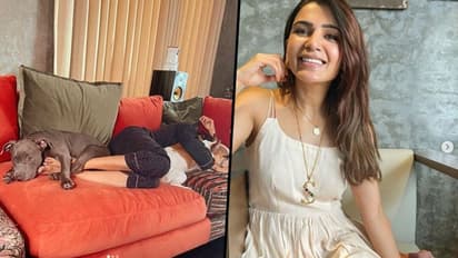 Samantha Ruth Prabhu chills with her pets on Sunday morning [Photos]