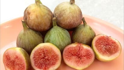  Fig Benefits: అంజీర పండు పురుషులకు ఓ వరం.. దీన్ని తింటే ఎన్ని సమస్యలు తగ్గుతాయో తెలిస్తే షాక్ అవుతారు..