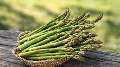 Asparagus: மலட்டு தன்மை பிரச்சனையா..? தண்ணீர் முட்டான் கிழங்கின் பல்வேறு ஆரோக்கிய நன்மைகள்...