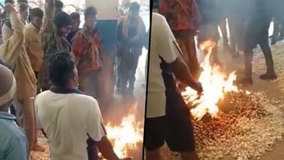 Madhya Pradesh: Failing to fetch proper prices, farmer sets garlic produce ablaze, ‘didn't get fair price’