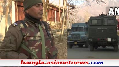 LeT Terrorist Killed: শ্রীনগরে বড় সাফল্য বাহিনীর,নিহত লস্করের পাকিস্তানি জঙ্গি