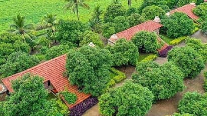 മരം മുറിച്ചുമാറ്റാൻ തയ്യാറില്ല, മരങ്ങൾക്കിടയിൽ തന്നെ കർഷകന്റെ വ്യത്യസ്തമായ റിസോർട്ട്