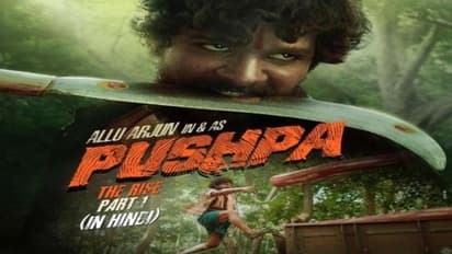 Pushpa:నార్త్ ఇండియాలో షాకిస్తున్న ‘పుష్ప’, బన్నీపై కామెంట్స్