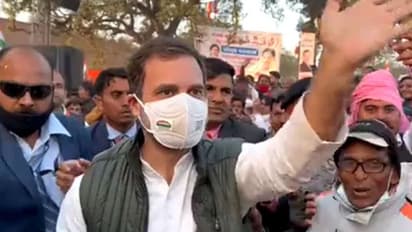 क्या विराट-BCCI विवाद में राहुल गांधी ने किया ट्वीट, कोहली के समर्थन में लिखी बड़ी बात?