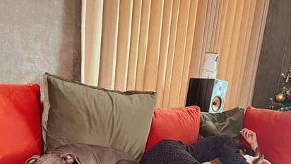 Samantha With Pet Dogs : ಮುದ್ದಿನ ಶ್ವಾನ ಲೋಕದಲ್ಲಿ ಸಮಂತಾ, ಕ್ರಿಸ್‌ ಮಸ್‌ಗೆ ವಿಶೇಷ ಸುದ್ದಿ!?