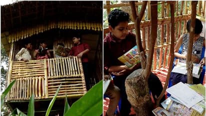 Variety Library : ഏറുമാടത്തിലൊരു വായനശാല, വായന പ്രോത്സാഹിപ്പിക്കാൻ ഇത്തിരി സാഹസികതയുമായി ഈ സ്കൂൾ