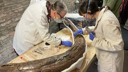 Mammoth graveyard : രണ്ടുലക്ഷം വർഷം പഴക്കമുള്ള മാമത്ത് ശ്മശാനം, ഒരു കുഞ്ഞുൾപ്പടെ അഞ്ചെണ്ണത്തിന്റെ അവശിഷ്ടങ്ങൾ