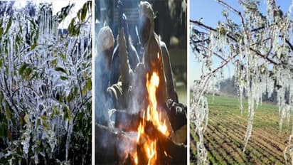 జనవరిలో సాధారణం కంటే తక్కువ ఉష్ణోగ్రతలు.. చలి తీవ్రత అధికమే.. : ఐఎండీ