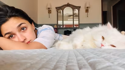 Here's what Alia Bhatt is doing on Monday, check post