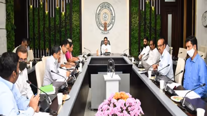 AP Paddy Procurement: కేసీఆర్ బాటలోనే జగన్... ధాన్యం కొనుగోళ్లపై సమీక్షలో కీలక ఆదేశాలు