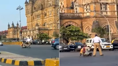 Round-up 2021 : इस साल की 10 तस्वीरें, किसी ने गुदगुदाया तो किसी ने इमोशनल किया, कुछ दे गईं जिंदगी की बड़ी सीख