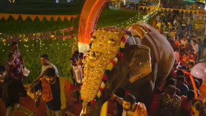 Ajagajantharam video song : ഉത്സവത്തിന് തിരിതെളിയിക്കാൻ അജഗജാന്തരം ; ആവേശമായി പൂരപ്പാട്ട്