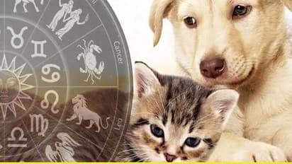 జోతిష్య శాస్త్రం ప్రకారం.. ఏ జంతువును పెంచుకోవాలో తెలుసా..?
