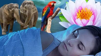 Dreams:  కలలో మీ భర్త వస్తే.. దాని అర్థమేంటో తెలుసా..?