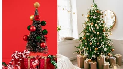 Here is how Christmas is celebrated globally [Read]