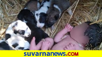 Chhattisgarh: ಕರುಳ ಕುಡಿಯನ್ನು ಬೀದಿಗೆಸೆದ ಹೆತ್ತವ್ವ, ಕಂದನಿಗೆ ಕಾವಲು ನಿಂತ ಶ್ವಾನಗಳು!