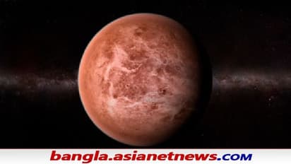 Life on Venus: শুক্র গ্রহে কি প্রাণ আছে, বিজ্ঞানীদের দাবি লুকিয়ে আছে মেঘের মধ্যে