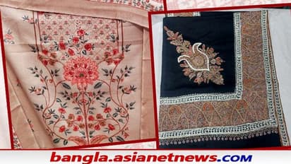 Shahtoosh Shawl Banned in India: এই একটি শালের দাম প্রায় ১৫ লক্ষ টাকা, তবে কেন ভারতে নিষিদ্ধ এই মহার্ঘ পোশাক