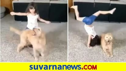 ಪ್ರೀತಿಯ ನಾಯಿಯೊಂದಿಗೆ ಪುಟ್ಟ ಬಾಲಕಿಯ ಸಾಹಸ... ನೋಡಿ viral video