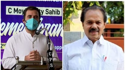 PT Thomas Death : 'വേദനിപ്പിക്കുന്ന വിയോഗം'; പി ടി തോമസിന്റെ നിര്യാണത്തില് അനുശോചിച്ച് രാഹുല് ഗാന്ധി