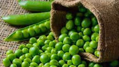 Health Benefits of Peas : ​ഗ്രീൻപീസ് കഴിച്ചാലുള്ള ​ആരോ​ഗ്യ​ഗുണങ്ങൾ ഇതൊക്കെയാണ്